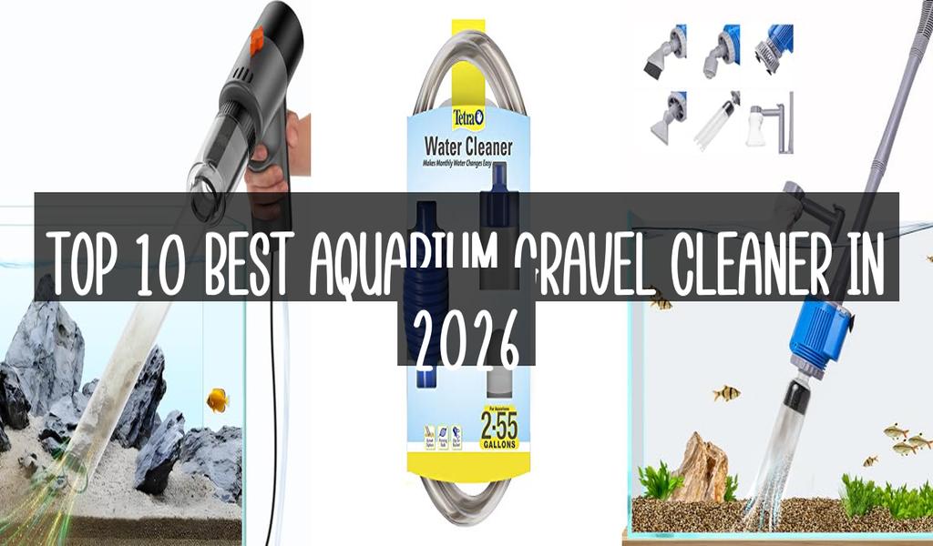Top 10 Best Aquarium Gravel Cleaner in 2026